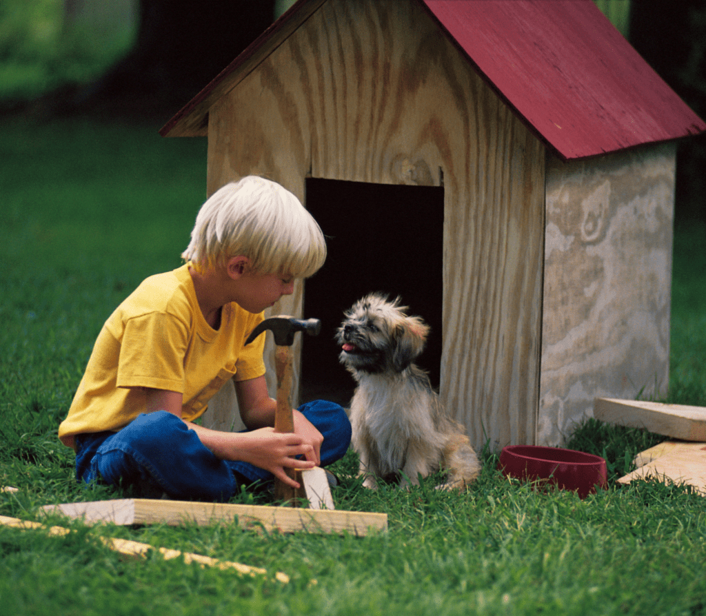 Young boy fixing a dog house with a brown furry dog