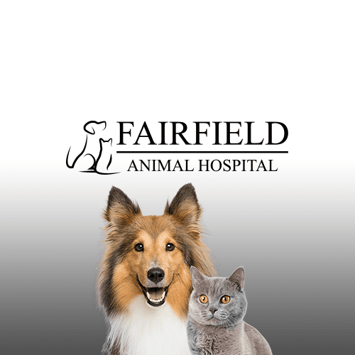 Fairfield Pet Supply Stores