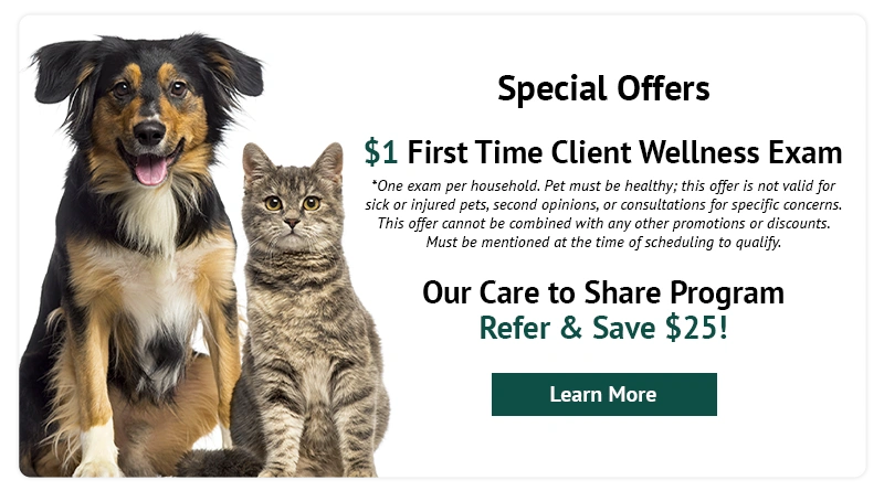 Special Offer! $1 First Time Client Wellness Exam!